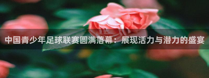 bbin视讯下：中国青少年足球联赛圆满落幕：展现活力与潜力的盛宴